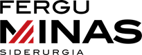 FERGUMINAS SIDERURGIA LTDA